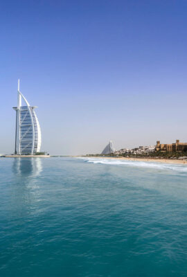 pexels-apasaric-823696 copy