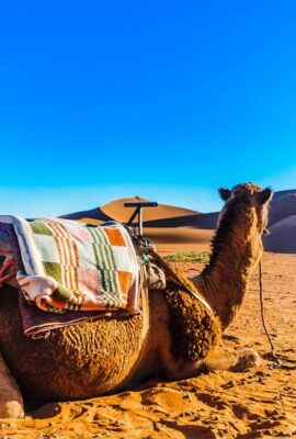 AdobeStock_223240727 copy