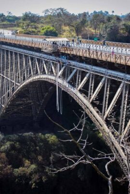 AdobeStock_704349299 copy